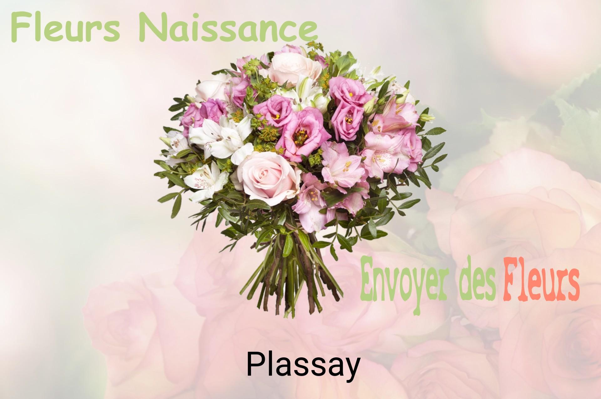 Bouquet de fleurs de naissance livré à Plassay