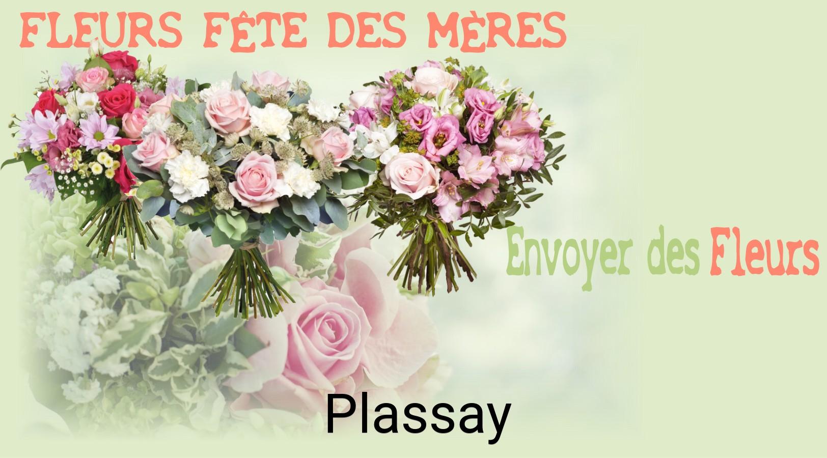Bouquet de Fête des Mères livré à Plassay